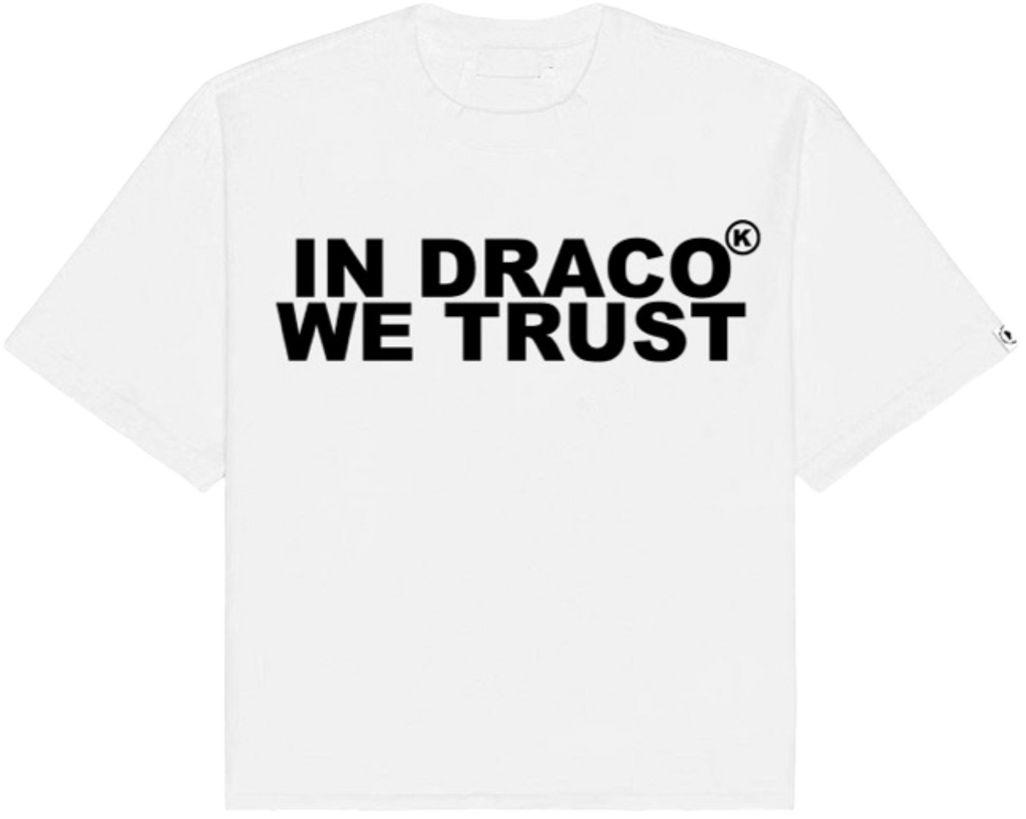 IN DRACO WE TRUST OVERSIZED TEE